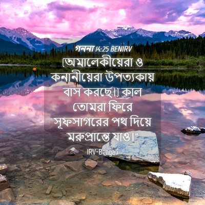 Picture 04 - গননা 14:25 BENIRV - (অমালেকীয়েরা ও - Bible Verse Picture