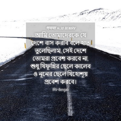 Picture 04 - গননা 14:30 BENIRV - আমি তোমাদেরকে যে - Bible Verse Picture