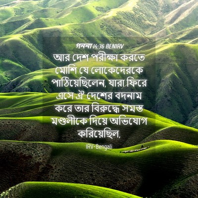 Picture 04 - গননা 14:36 BENIRV - আর দেশ পরীক্ষা - Bible Verse Picture