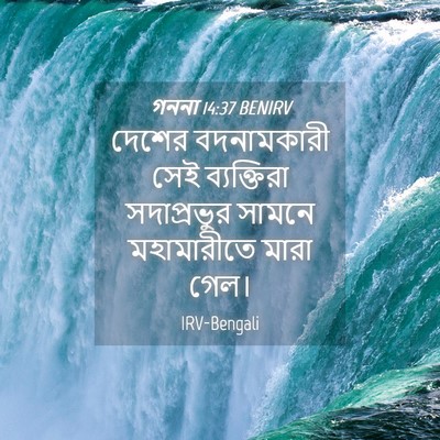 Picture 04 - গননা 14:37 BENIRV - দেশের বদনামকারী - Bible Verse Picture