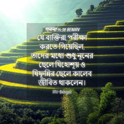 Picture 04 - গননা 14:38 BENIRV - যে ব্যক্তিরা - Bible Verse Picture