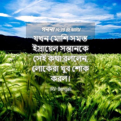 Picture 04 - গননা 14:39 BENIRV - যখন মোশি সমস্ত - Bible Verse Picture