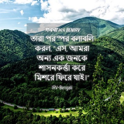 Picture 04 - গননা 14:4 BENIRV - তারা পরস্পর - Bible Verse Picture