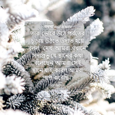 Picture 04 - গননা 14:40 BENIRV - তারা ভোরে উঠে - Bible Verse Picture