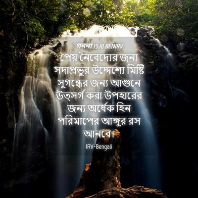 Picture 04 - গননা 15:10 BENIRV - পেয় নৈবেদ্যের - Bible Verse Picture