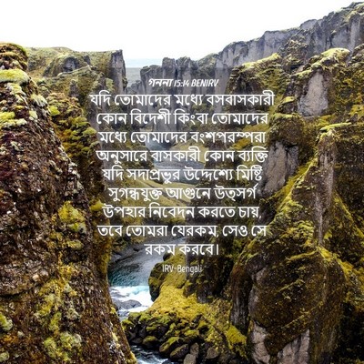 Picture 04 - গননা 15:14 BENIRV - যদি তোমাদের মধ্যে - Bible Verse Picture