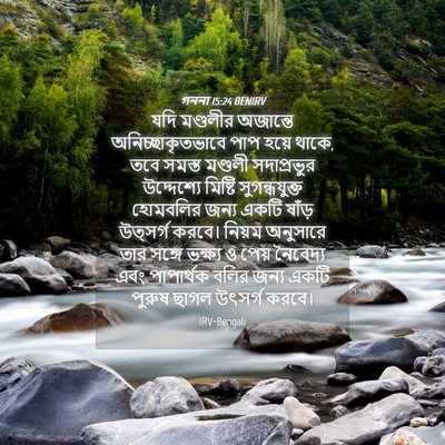 Picture 04 - গননা 15:24 BENIRV - যদি মণ্ডলীর - Bible Verse Picture