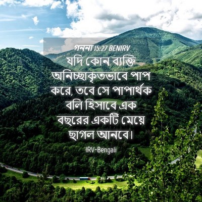 Picture 04 - গননা 15:27 BENIRV - যদি কোন ব্যক্তি - Bible Verse Picture