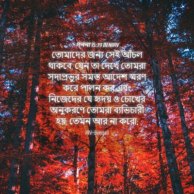 Picture 04 - গননা 15:39 BENIRV - তোমাদের জন্য সেই - Bible Verse Picture