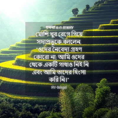 Picture 04 - গননা 16:15 BENIRV - মোশি খুব রেগে - Bible Verse Picture