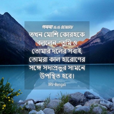 Picture 04 - গননা 16:16 BENIRV - তখন মোশি কোরহকে - Bible Verse Picture