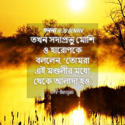 Picture 04 - গননা 16:20 BENIRV - তখন সদাপ্রভু মোশি - Bible Verse Picture