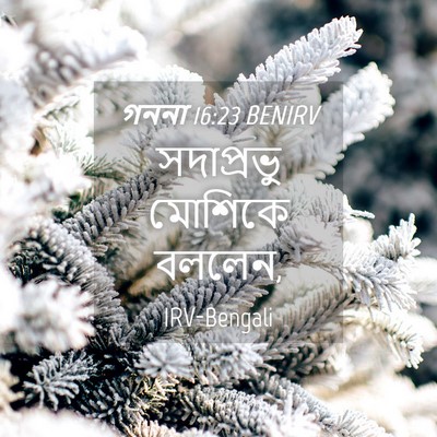 Picture 04 - গননা 16:23 BENIRV - সদাপ্রভু মোশিকে - Bible Verse Picture