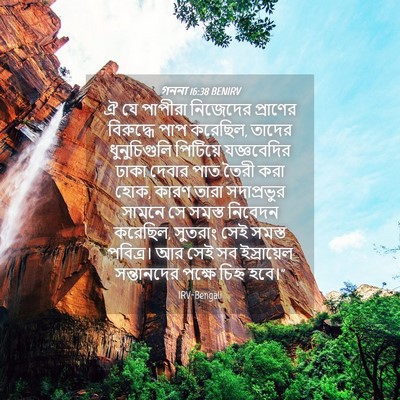 Picture 04 - গননা 16:38 BENIRV - ঐ যে পাপীরা - Bible Verse Picture