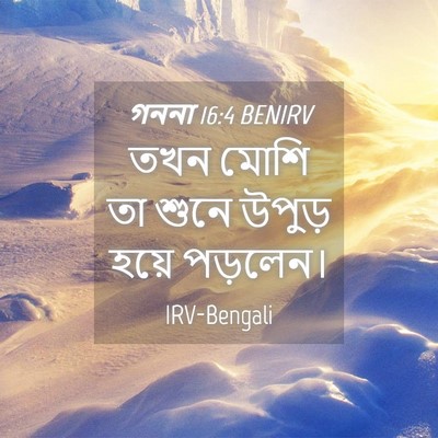 Picture 04 - গননা 16:4 BENIRV - তখন মোশি তা শুনে - Bible Verse Picture