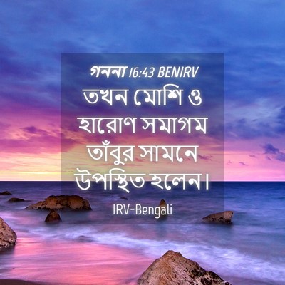 Picture 04 - গননা 16:43 BENIRV - তখন মোশি ও হারোণ - Bible Verse Picture