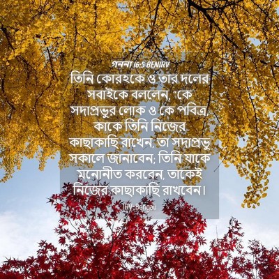 Picture 04 - গননা 16:5 BENIRV - তিনি কোরহকে ও তার - Bible Verse Picture