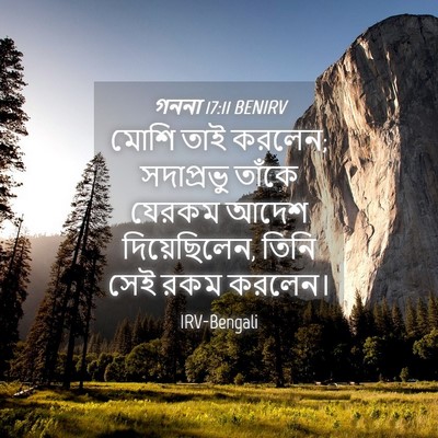 Picture 04 - গননা 17:11 BENIRV - মোশি তাই করলেন; - Bible Verse Picture