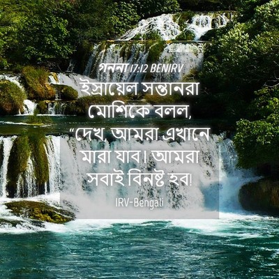 Picture 04 - গননা 17:12 BENIRV - ইস্রায়েল - Bible Verse Picture