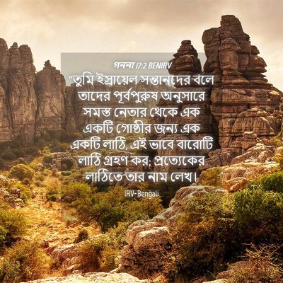 Picture 04 - গননা 17:2 BENIRV - “তুমি ইস্রায়েল - Bible Verse Picture