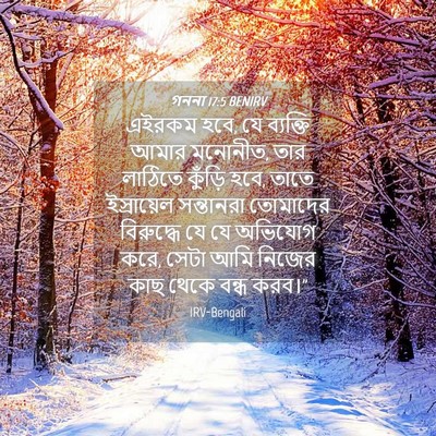 Picture 04 - গননা 17:5 BENIRV - এইরকম হবে, যে - Bible Verse Picture