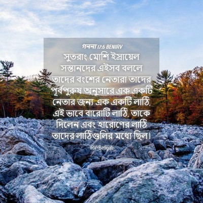 Picture 04 - গননা 17:6 BENIRV - সুতরাং মোশি - Bible Verse Picture