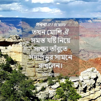 Picture 04 - গননা 17:7 BENIRV - তখন মোশি ঐ সমস্ত - Bible Verse Picture