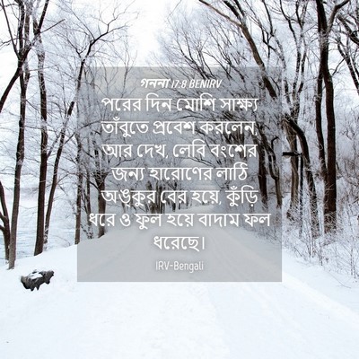 Picture 04 - গননা 17:8 BENIRV - পরের দিন মোশি - Bible Verse Picture