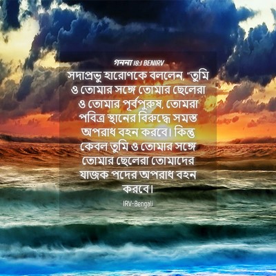 Picture 04 - গননা 18:1 BENIRV - সদাপ্রভু হারোণকে - Bible Verse Picture