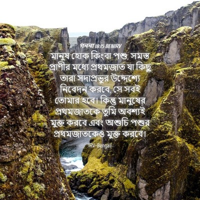 Picture 04 - গননা 18:15 BENIRV - মানুষ হোক কিংবা - Bible Verse Picture