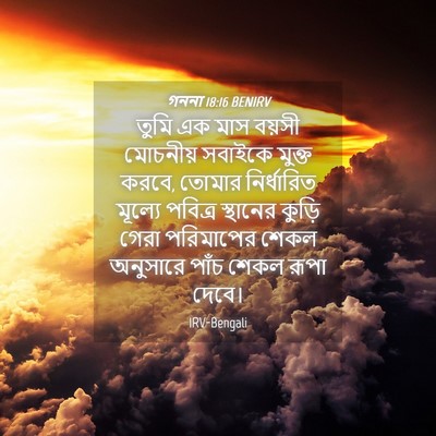Picture 04 - গননা 18:16 BENIRV - তুমি এক মাস বয়সী - Bible Verse Picture