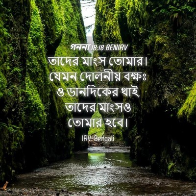 Picture 04 - গননা 18:18 BENIRV - তাদের মাংস তোমার। - Bible Verse Picture