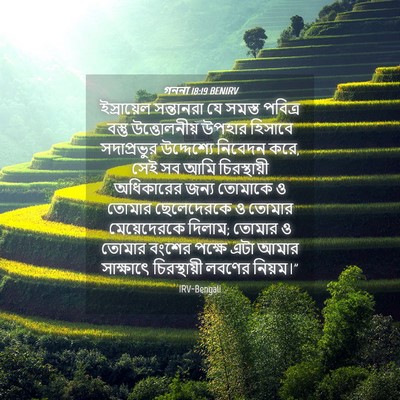Picture 04 - গননা 18:19 BENIRV - ইস্রায়েল - Bible Verse Picture