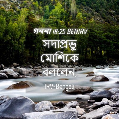 Picture 04 - গননা 18:25 BENIRV - সদাপ্রভু মোশিকে - Bible Verse Picture