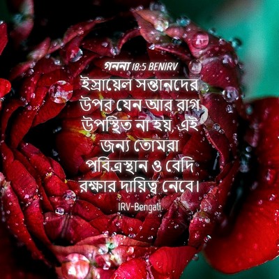 Picture 04 - গননা 18:5 BENIRV - ইস্রায়েল - Bible Verse Picture