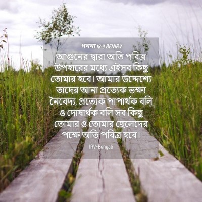 Picture 04 - গননা 18:9 BENIRV - আগুনের দ্বারা অতি - Bible Verse Picture
