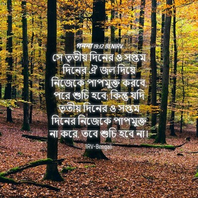 Picture 04 - গননা 19:12 BENIRV - সে তৃতীয় দিনের ও - Bible Verse Picture