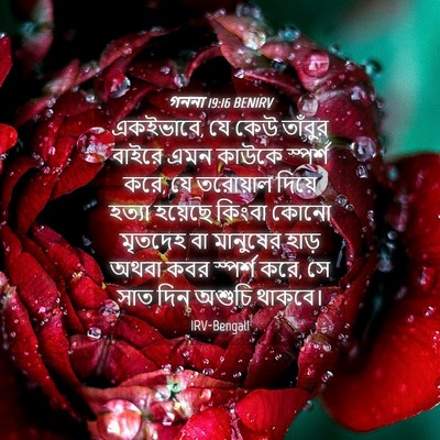 Picture 04 - গননা 19:16 BENIRV - একইভাবে, যে কেউ - Bible Verse Picture
