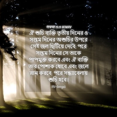 Picture 04 - গননা 19:19 BENIRV - ঐ শুচি ব্যক্তি - Bible Verse Picture