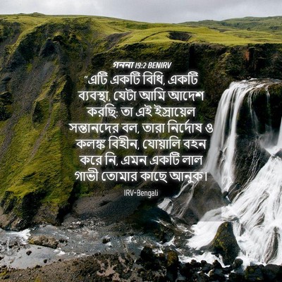 Picture 04 - গননা 19:2 BENIRV - “এটি একটি বিধি, - Bible Verse Picture