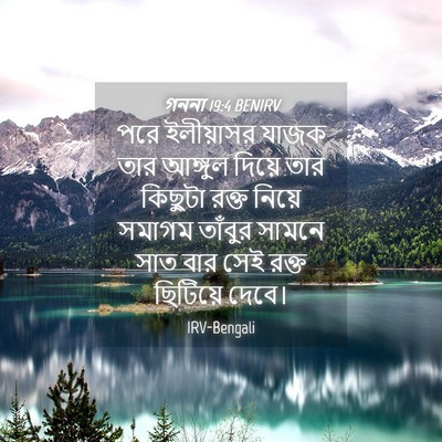 Picture 04 - গননা 19:4 BENIRV - পরে ইলীয়াসর যাজক - Bible Verse Picture