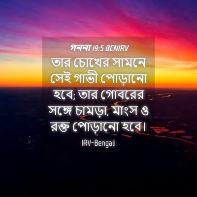 Picture 04 - গননা 19:5 BENIRV - তার চোখের সামনে - Bible Verse Picture