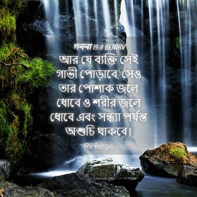 Picture 04 - গননা 19:8 BENIRV - আর যে ব্যক্তি সেই - Bible Verse Picture
