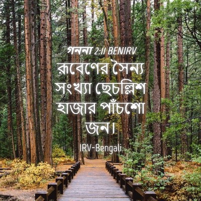 Picture 04 - গননা 2:11 BENIRV - রূবেণের সৈন্য - Bible Verse Picture
