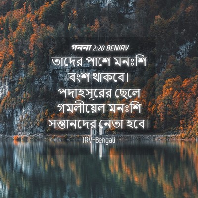 Picture 04 - গননা 2:20 BENIRV - তাদের পাশে মনঃশি - Bible Verse Picture