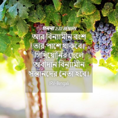 Picture 04 - গননা 2:22 BENIRV - আর বিন্যামীন বংশ - Bible Verse Picture