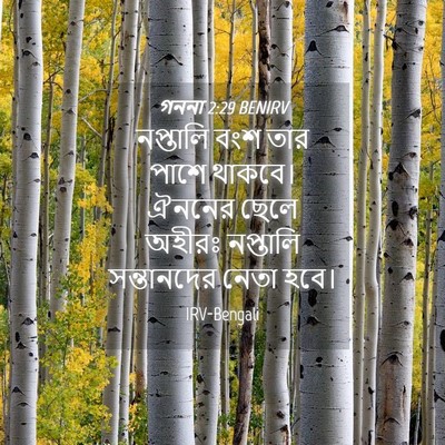 Picture 04 - গননা 2:29 BENIRV - নপ্তালি বংশ তার - Bible Verse Picture