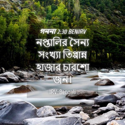 Picture 04 - গননা 2:30 BENIRV - নপ্তালির সৈন্য - Bible Verse Picture