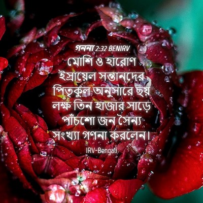 Picture 04 - গননা 2:32 BENIRV - মোশি ও হারোণ - Bible Verse Picture