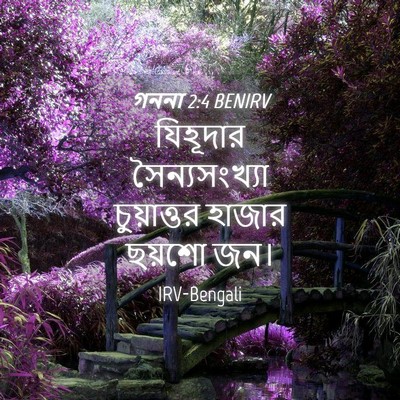 Picture 04 - গননা 2:4 BENIRV - যিহূদার - Bible Verse Picture